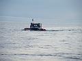 Bering Strait Crossing 196